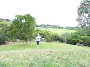 First official glimpse of the basin floor (behind me) and a lonesome puriri tree