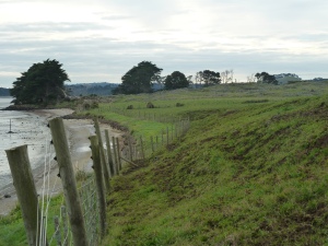Stonefields viewed from the walkway at the end of Ihumatao Road