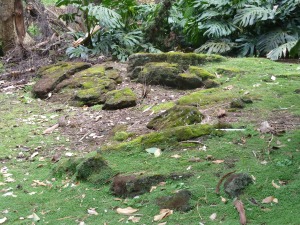 Tell-tale signs of a volcanic past in this mossy corner of the driveway